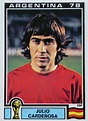 Julio Cardenosa of Spain. 1978 World Cup Finals card. | World cup final ...