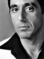 Al Pacino, Scarface. | Scarface movie, Al pacino, Scarface