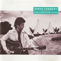 Steve Forbert - The American in Me — This Is Vinyl Tap