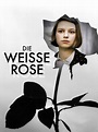 Amazon.de: Die weiße Rose ansehen | Prime Video