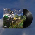 Vinyl MAIDZA, TKAY - LAST YEAR WAS WEIRD VOLUME. 3 - RUKAHORE SHOP