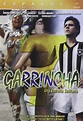 Garrincha - Estrela Solitária [USA] [DVD]: Amazon.es: Chico Díaz, Guti ...