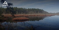 Best Hikes and Trails in New Jersey Pinelands National Reserve | AllTrails
