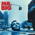Mr. Big - Bump Ahead (1993, CD) | Discogs