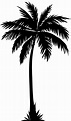 Palmera Vector at GetDrawings | Free download