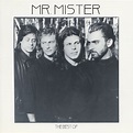 Mr. Mister – The Best Of (2003, CD) - Discogs