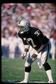 The Life And Career Of Lester Hayes (Story)