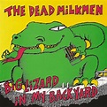 ‎Big Lizard In My Backyard by The Dead Milkmen on Apple Music