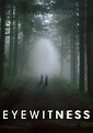 Eyewitness - Ver la serie online completas en español
