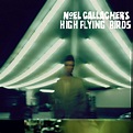 Noel Gallagher's High Flying Birds: Amazon.co.uk: CDs & Vinyl