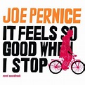 It Feels So Good When I Stop by Joe Pernice (Album, Folk Rock): Reviews ...