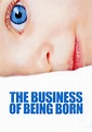 The Business of Being Born - watch stream online