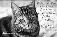 Mark Twain cat quote | Cat quotes, Cats, Funny cat memes