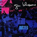 Dusted by Gin Blossoms: Amazon.co.uk: CDs & Vinyl