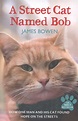 A street cat named Bob by Bowen, James (9781444737110) | BrownsBfS