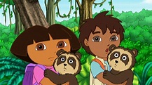 Watch Go, Diego, Go! Season 1 Episode 15: Chito and Rita the Spectacled ...