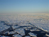 Sea ice arctic | FWS.gov