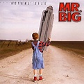 Mr. Big – Actual Size (2001, CD) - Discogs