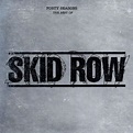 SKID ROW/40 SEASONS-THE BEST OF SKID ROW スキッド・ロウ 国内初回限定盤 | AMERICAN,90 ...