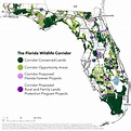 Maps | Florida Wildlife Corridor Foundation