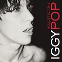 Iggy Pop - The Collection Album Reviews, Songs & More | AllMusic