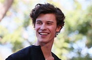 Shawn Mendes Foundation Partners with Google to Award 'Wonder' Grants ...