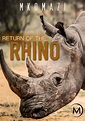 Mkomazi: Return of the Rhino streaming online