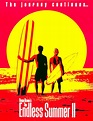 The Endless Summer Movie Poster Digital Download Documentary - Etsy