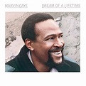 ‎Dream of a Lifetime - Album by Marvin Gaye - Apple Music