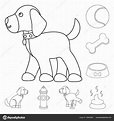 Dibujos De Animales Domesticos Para Colorear E Imprimir - Dibujos Para ...