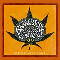 BRANT BJORK AND THE LOW DESERT PUNK BAND - BLACK POWER FLOWER