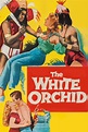 The White Orchid Movie Streaming Online Watch on MX Player