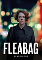 Fleabag Temporada 1 - assista todos episódios online streaming