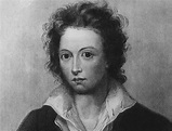 43 Mad Facts About Percy Shelley, England's Lost Poet