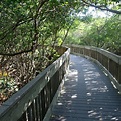 Weedon Island Preserve (St. Petersburg) - All You Need to Know BEFORE ...