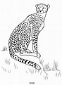 Animal Coloring Pages To Print For Free