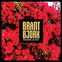 ALBUM REVIEW: Bougainvillea Suite - Brant Bjork - Distorted Sound Magazine