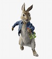 Peter Rabbit Png - Peter Rabbit Movie Character, Transparent Png - kindpng
