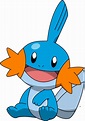 258 Mudkip by PkLucario on DeviantArt