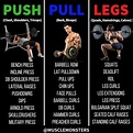 Push Pull Legs Workout Routine For Beginners for Build Muscle | Fitness ...