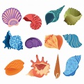 Conjunto de conchas marinas de dibujos animados. colección de conchas ...
