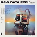 Everything Everything - Raw Data Feel - Reviews - Album of The Year