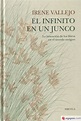 EL INFINITO EN UN JUNCO - IRENE VALLEJO - 9788418436208