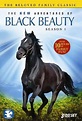 The New Adventures of Black Beauty - Trakt.tv