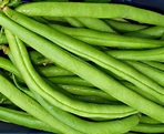 Mark's Veg Plot: Beans, beans and more beans