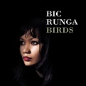 Birds — Bic Runga | Last.fm