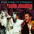 Best Buy: From Pumps to Pompadour: The David Johansen Story [CD]