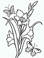 42+ Free Printable gladiolus coloring page - DaudJoni