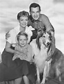 Lassie (serie televisiva 1954) - Wikipedia