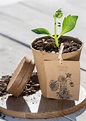 Macetas Ecologicas Biodegradables - Macetas Decoradas 2021